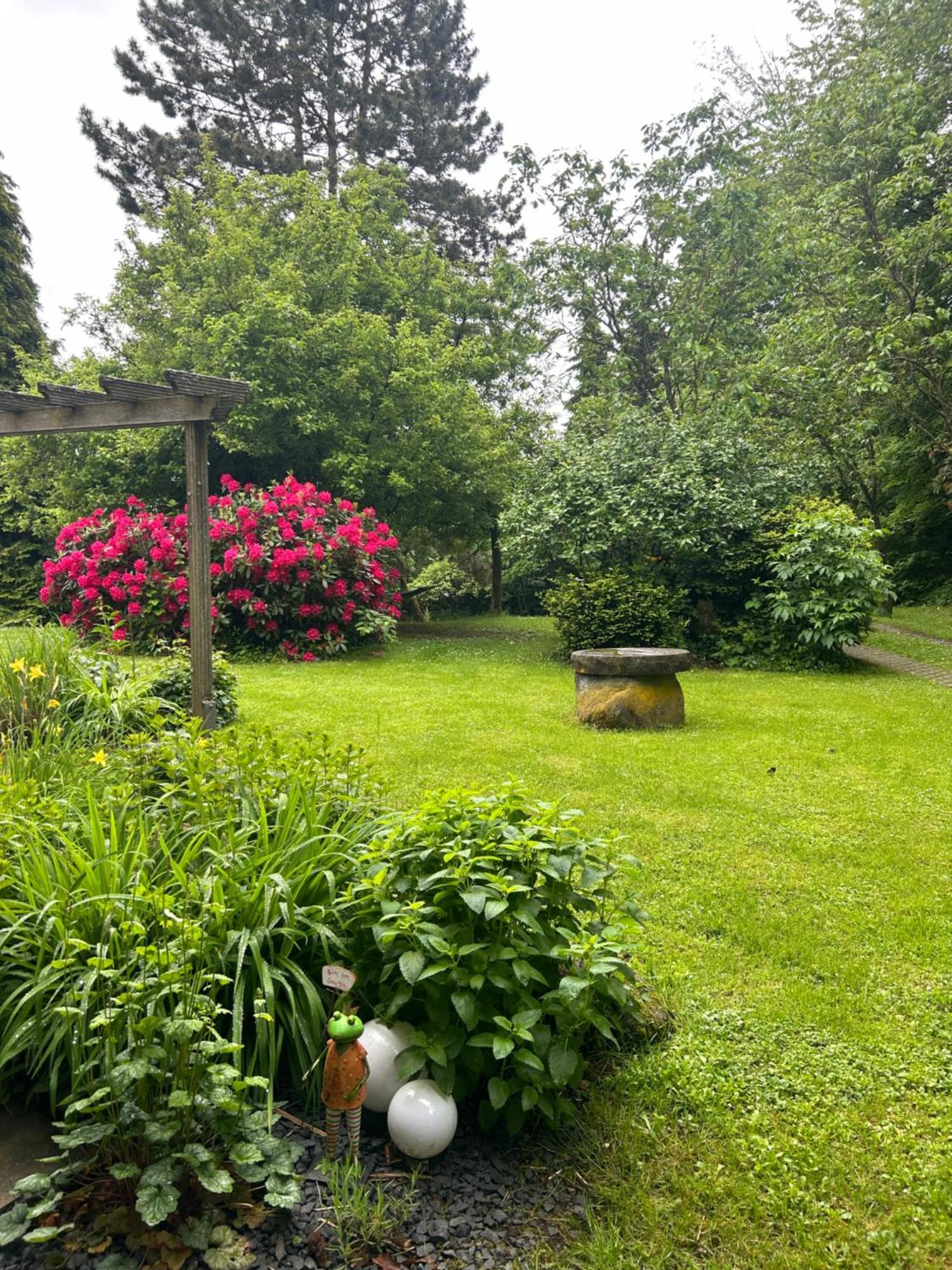 Ferienapartments Engeln Eifel Kempenich 외부 사진